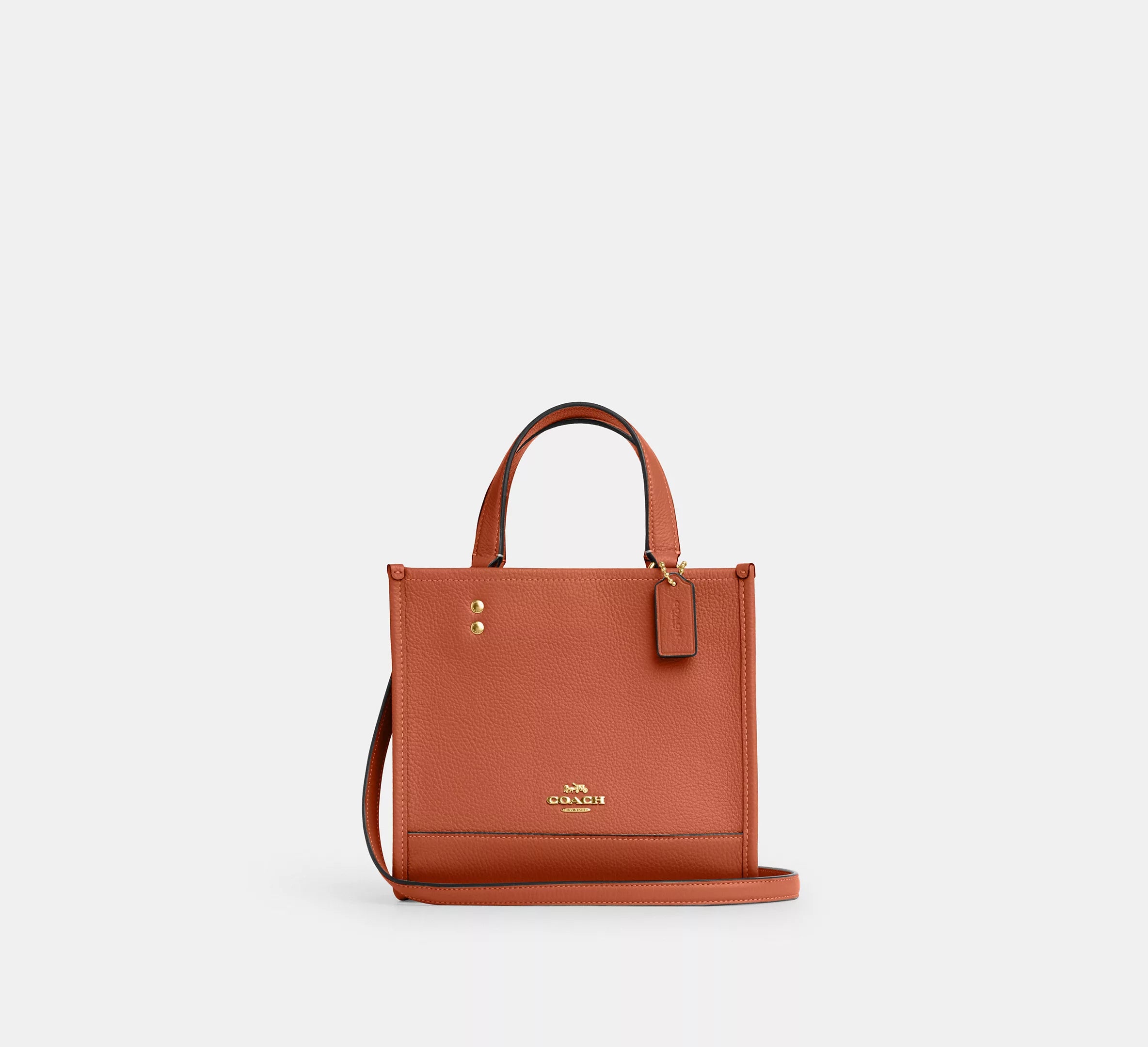 Dempsey Tote 22